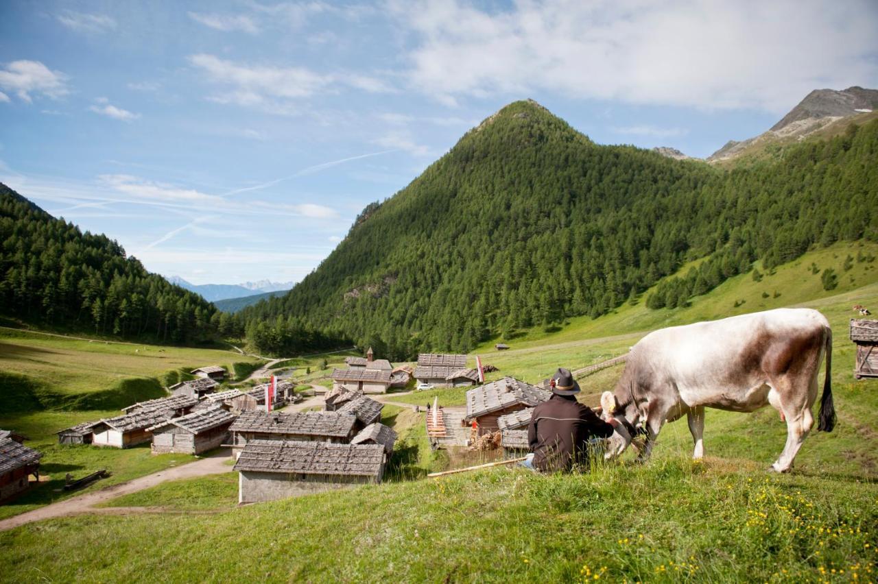 Bed & Breakfast Abis - Dolomites Rio di Pusteria Eksteriør billede